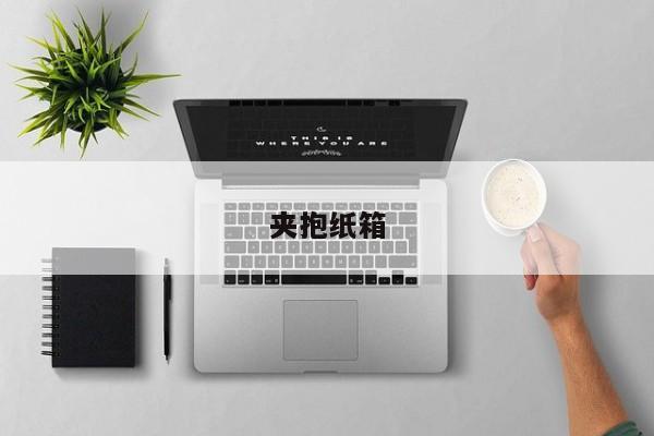夾抱紙箱